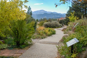 Mesa Road Garden